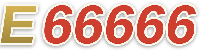 e66666